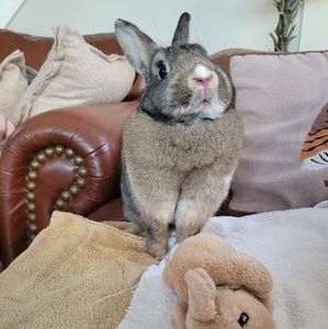 Meet your Posher, Erin